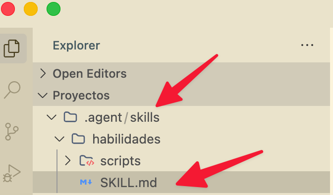 estructura de directorio Google Antigravity para las skills